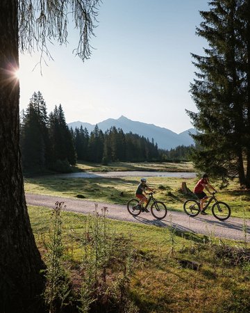 E-Biken in Wildmoos bei der Wildmoosalm 