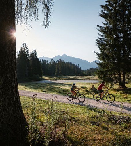 E-Biken in Wildmoos bei der Wildmoosalm 