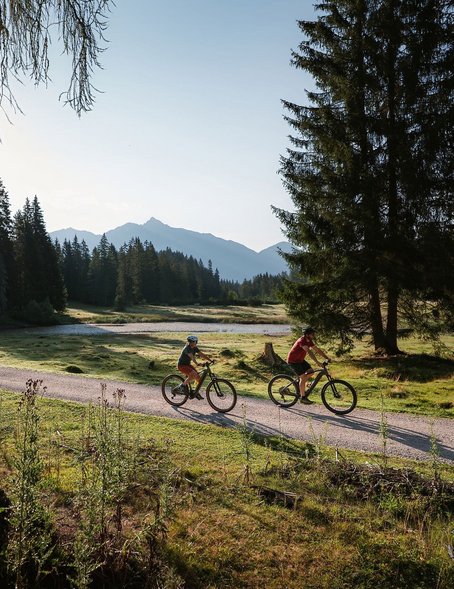 E-Biken in Wildmoos bei der Wildmoosalm 