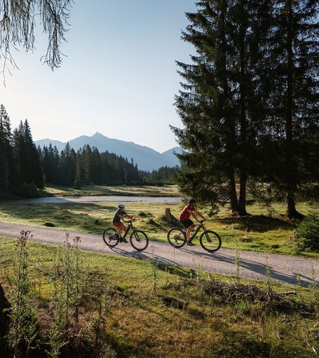 E-Biken in Wildmoos bei der Wildmoosalm 