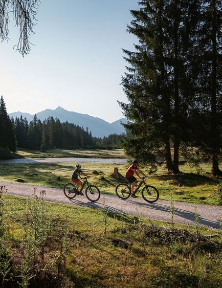 E-Biken in Wildmoos bei der Wildmoosalm 