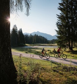 E-Biken in Wildmoos bei der Wildmoosalm 