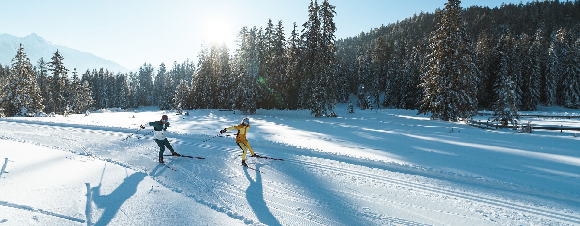 Langläufer beim Skating in der Region Seefeld