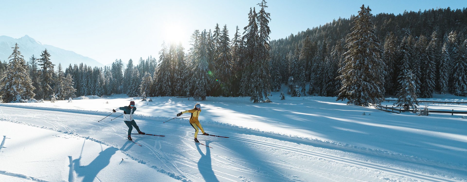 Langläufer beim Skating in der Region Seefeld