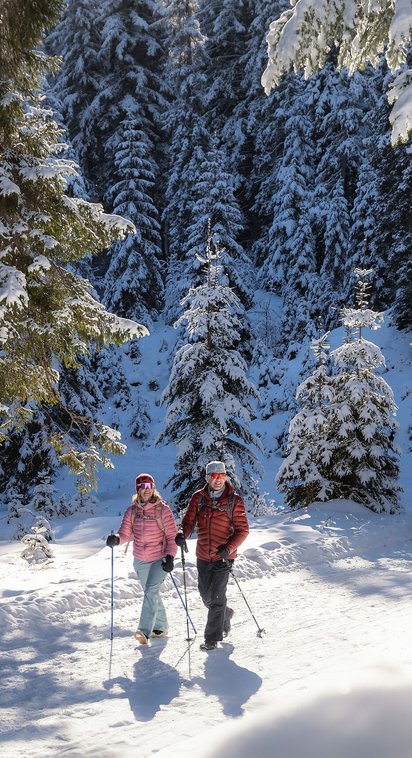 Winterwandern in der Region Seefeld im Fludertal