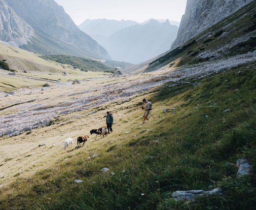Wanderung auf die Gehrensspitze Leutasch - Aufstieg durch das Puittal 