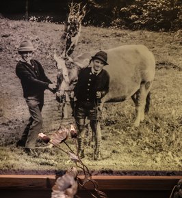 Familienbild mit zwei Buben und einer Kuh