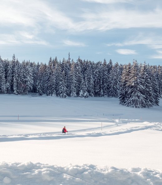 Verschneiter Winterwanderweg im Muggenmoos in Leutasch