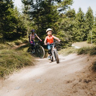Familienurlaub in der Region Seefeld Bikepark Katzenkopf Leutasch