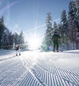 Skifahren in Seefeld 