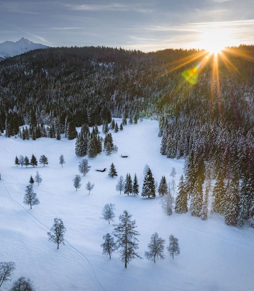 Wildmoos im Winter - Drohnenaufnahme Richtung Reither Spitze mit Sonnenstern Bäumen und 2 kleinen Hütten 