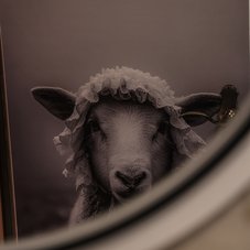 Detailbild Badezimmer Kunst