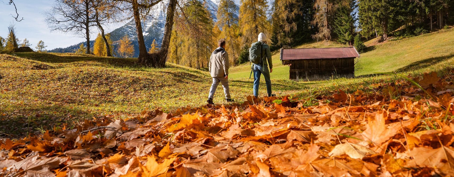 Oberer Wiesenweg Leutasch im Herbst
