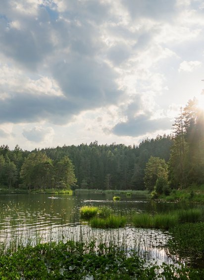 Abendstimmung am See 