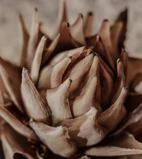Kunstblume 