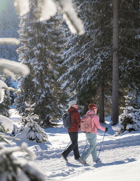 Winterwandern in der Region Seefeld, Wildmoos