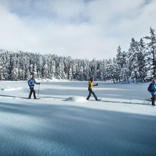 Schneeschuhwandergruppe durch tiefverschneite Winterlandschaft