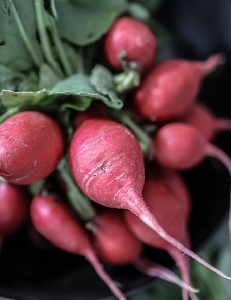 Frische Radieschen 
